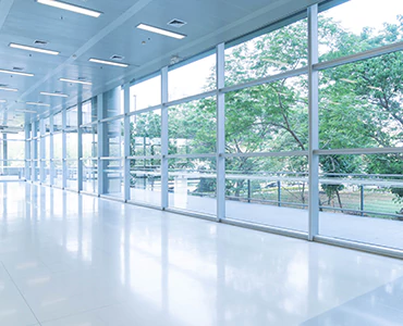 emergency glass repair in Wesley Chapel, FL