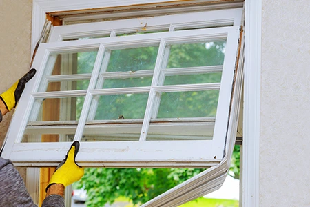 Window Replacement in Wesley Chapel, FL